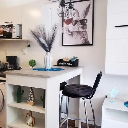 Apartament Paloma Blanca 2