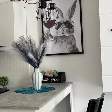 Apartament Paloma Blanca 2 *