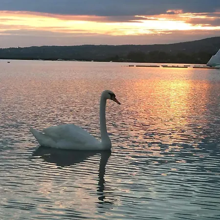 Апартаменты Paloma Blanca 2 *