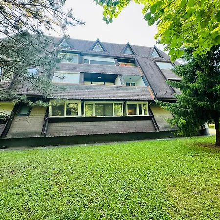 Paloma Blanca 2 Гардонь