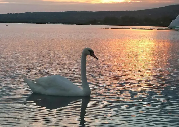 Apartment Paloma Blanca 2 *