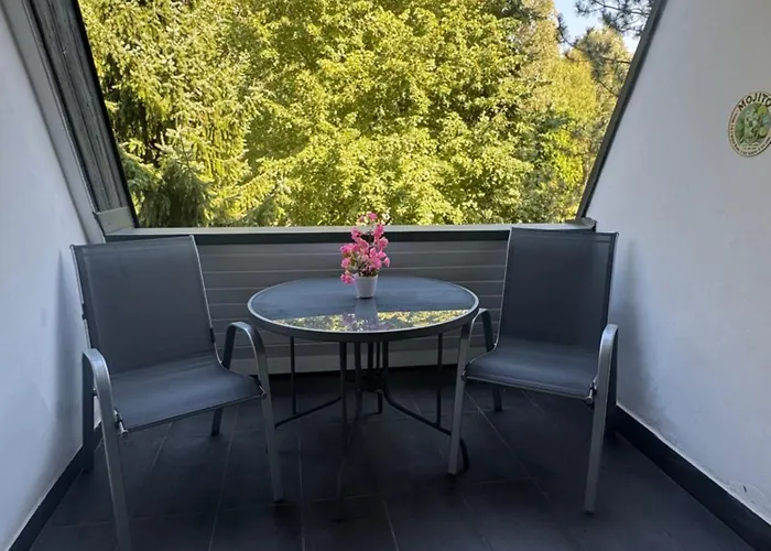 Apartment Paloma Blanca 2